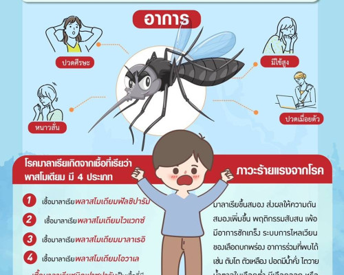 กรมการแพทย์แนะ ทำความรู้จัก “ภาวะมาลาเรียขึ้นสมอง”