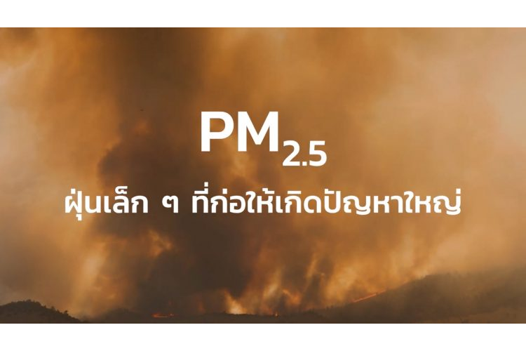 ฝุ่นเล็ก ๆ ที่ก่อให้เกิดปัญหาใหญ่ PM 2.5
